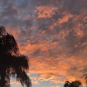 Meet your Posher, Staci